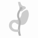 Roux-en-Y-gastric-bypass-icon-512x512-1.png